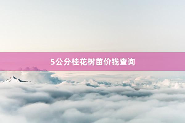 5公分桂花树苗价钱查询