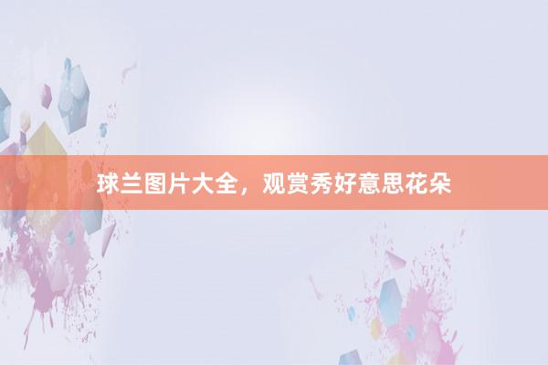 球兰图片大全，观赏秀好意思花朵