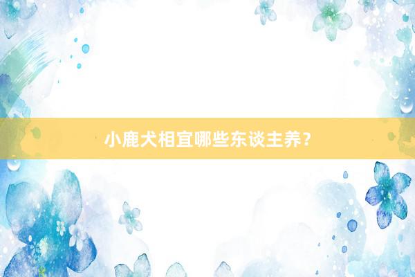 小鹿犬相宜哪些东谈主养？